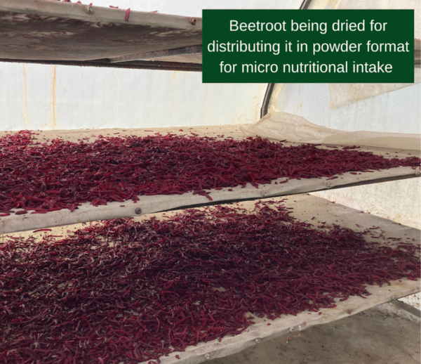 Solar Drying for Micronutrition, Livelihood, and Healthy Rural Communities