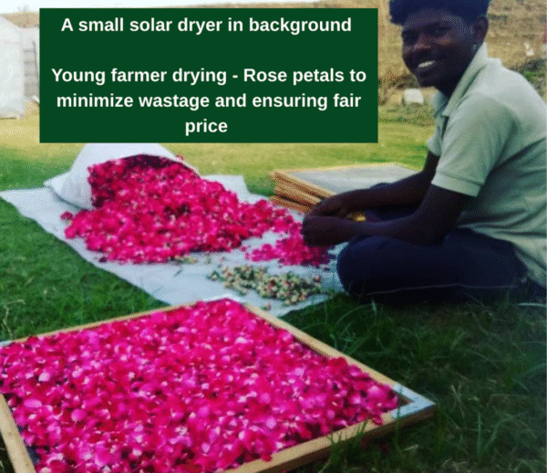 Solar Drying for Micronutrition, Livelihood, and Healthy Rural Communities